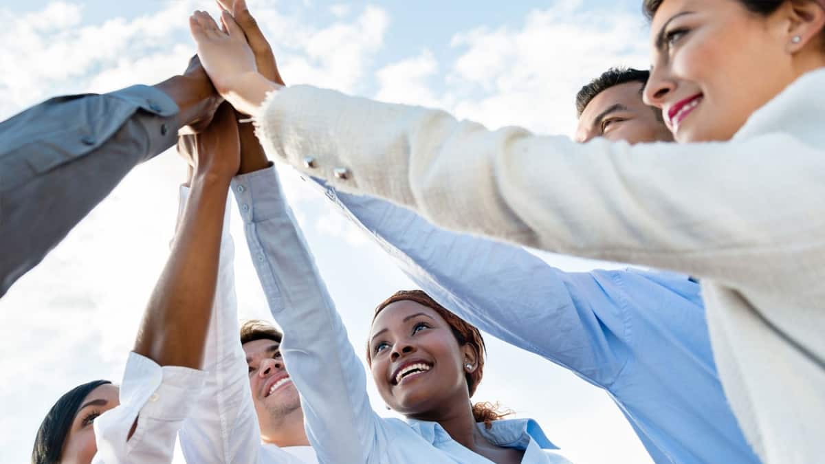 Successful Franchises